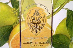 Agrumi Di Boboli